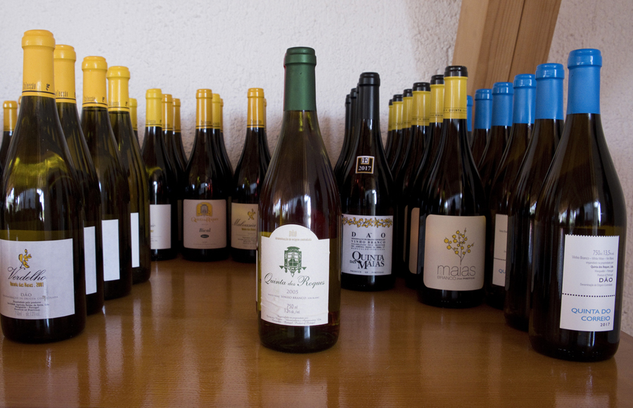 Vários vinhos da Quinta dos Roques