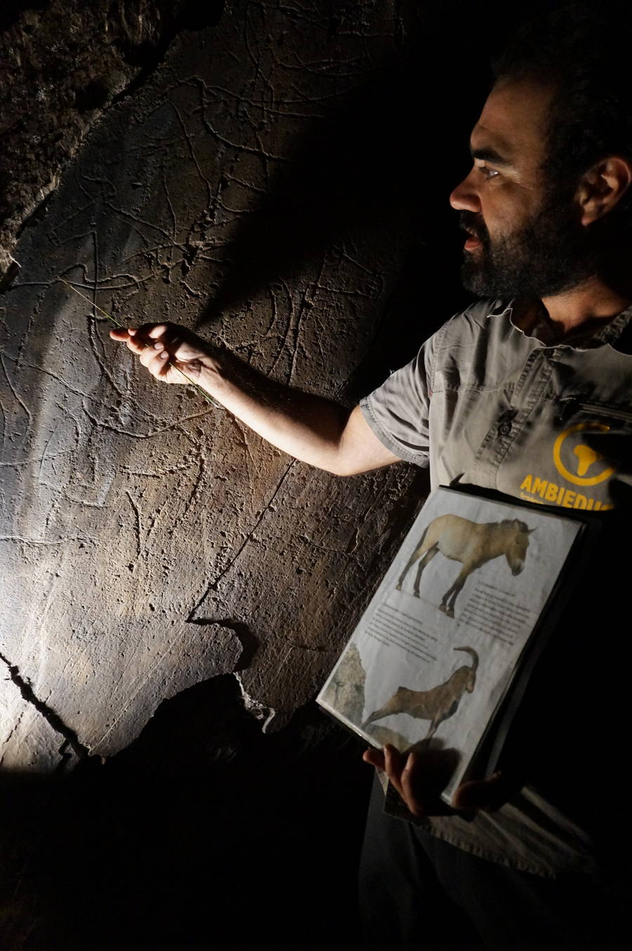 Detalhes das figuras de animais gravadas no xisto